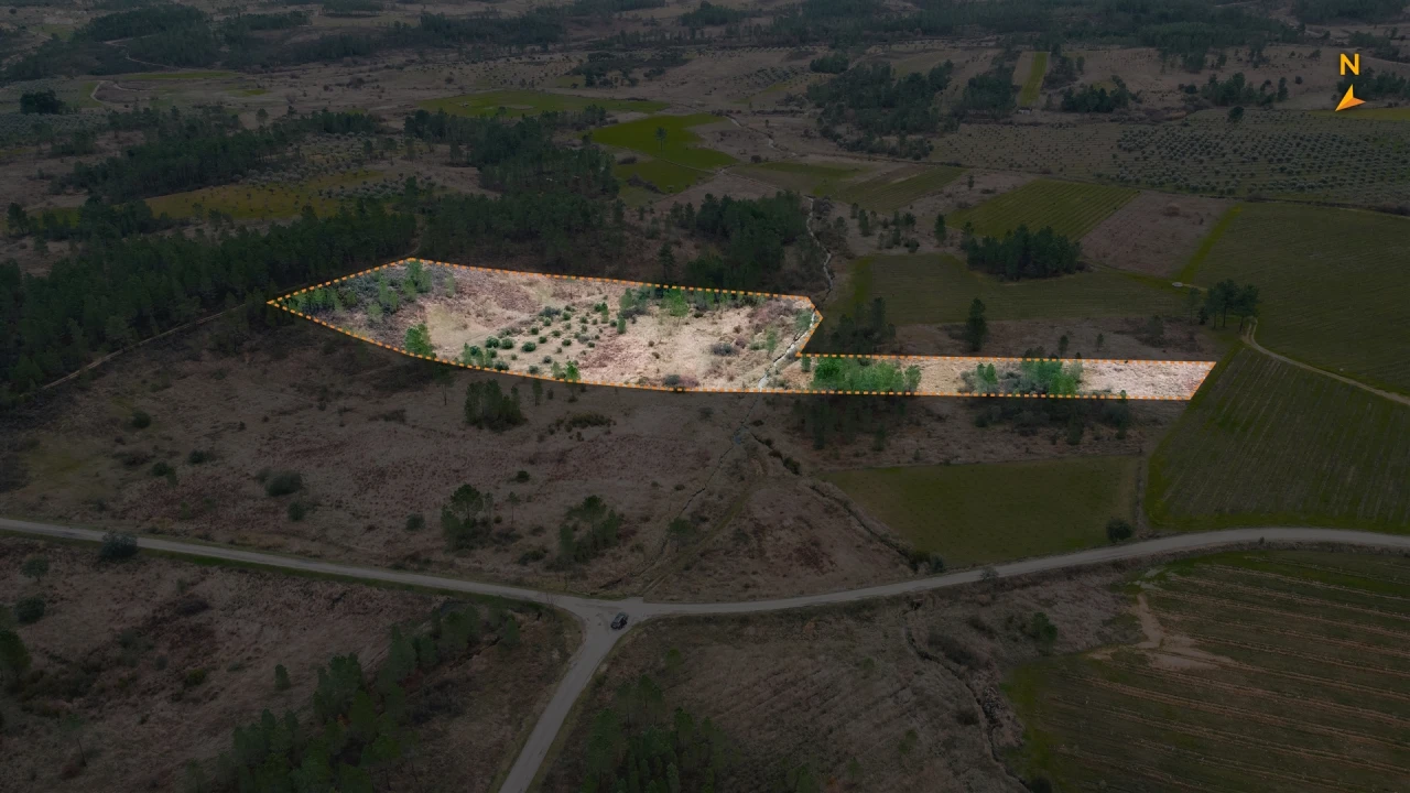 Quinta T0 para Venda em Sarzedas Foto 4