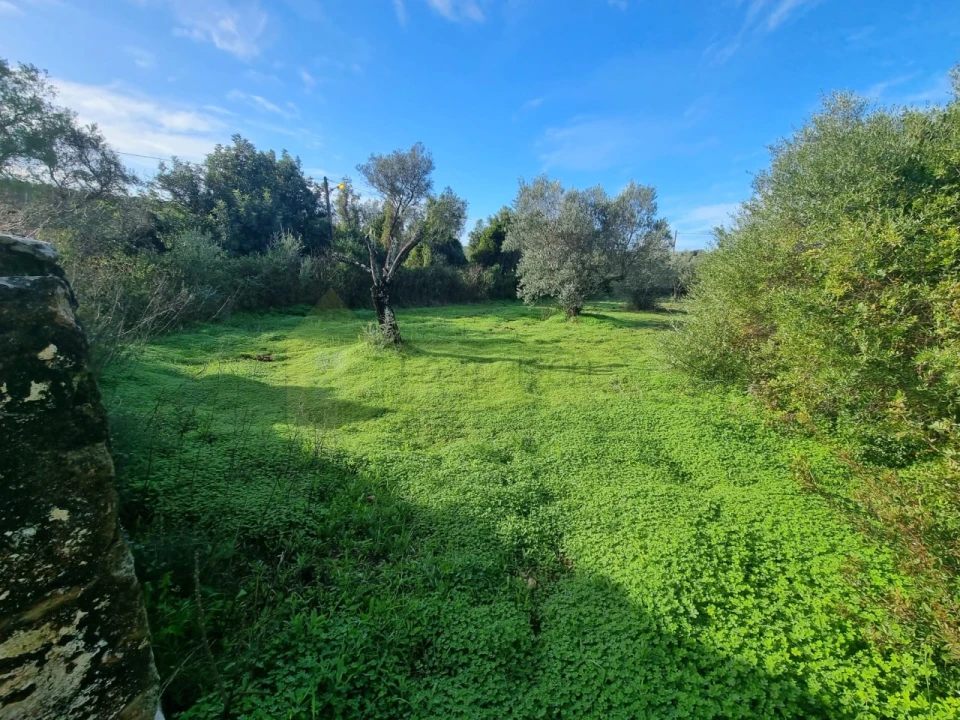 Terreno para Venda em Loule (São Clemente) Foto 4