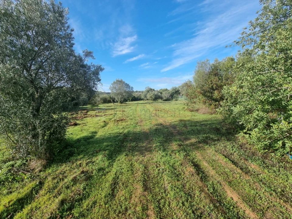 Terreno para Venda em Loule (São Clemente) Foto 7