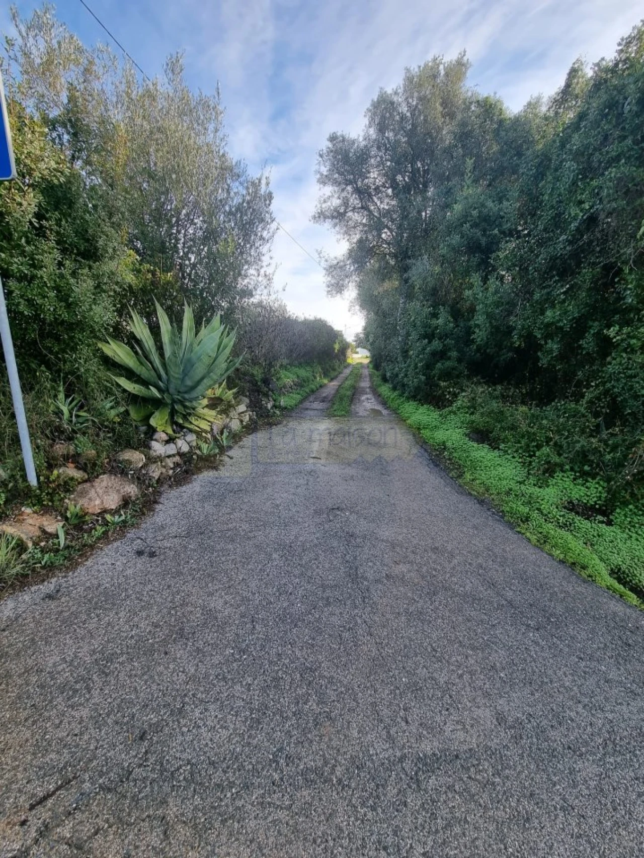 Terreno para Venda em Loule (São Clemente) Foto 9