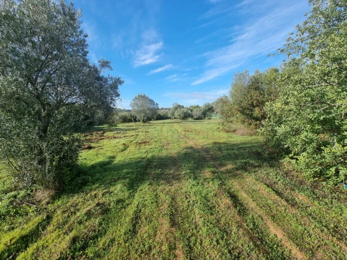 Terreno para Venda em Loule (São Clemente) Foto 7