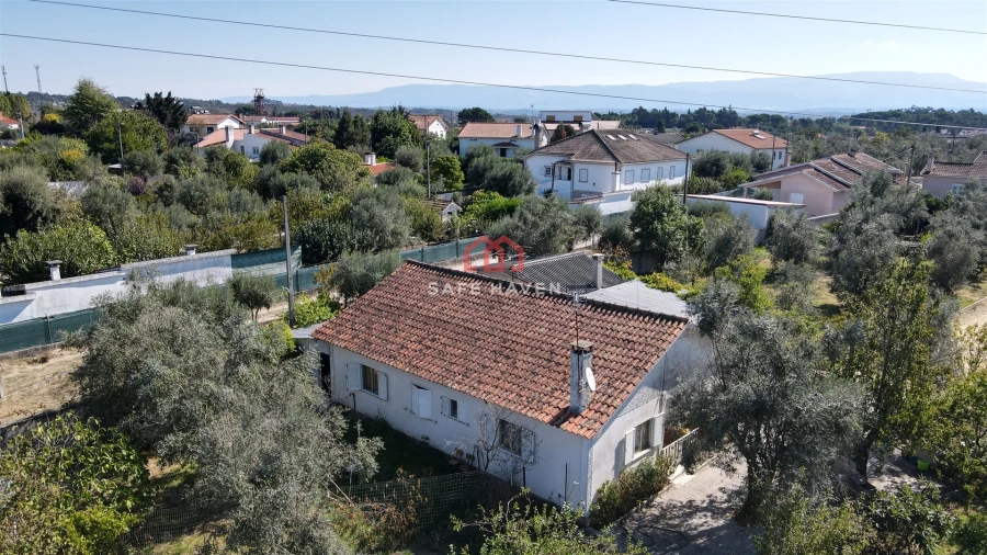 Moradia T3 para Venda em Canas de Senhorim Foto 3