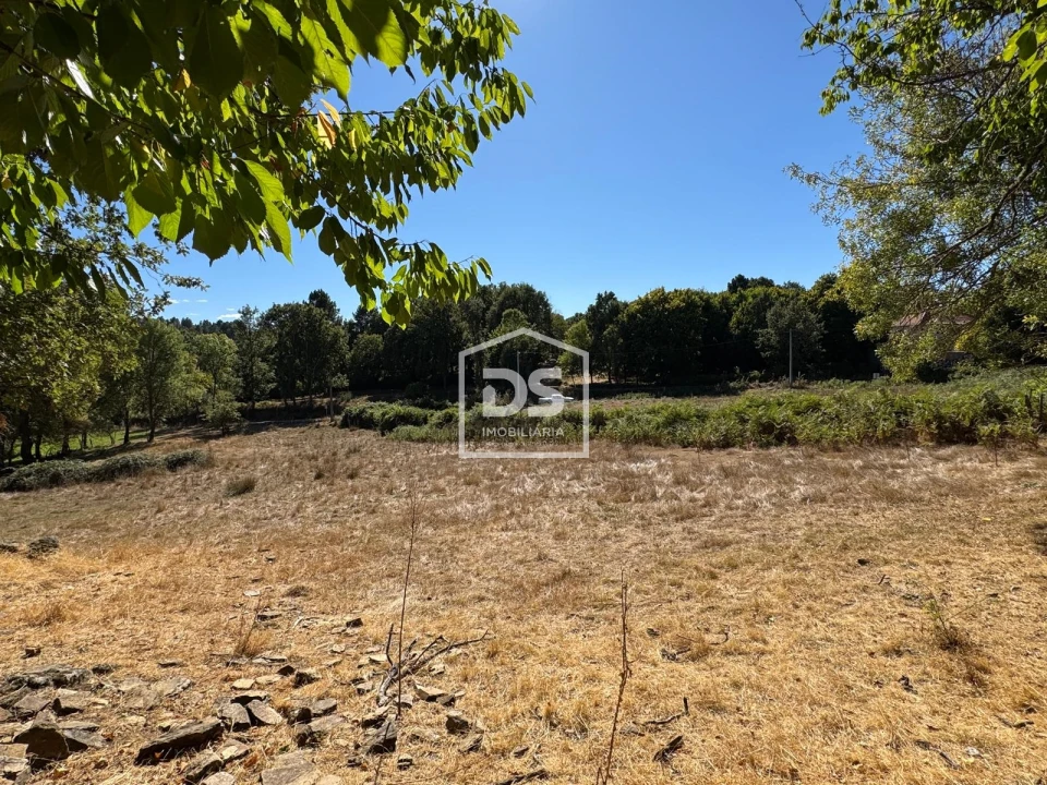 Terreno Agricola ou Rústico para Venda em Quintas de São Bartolomeu Foto 1