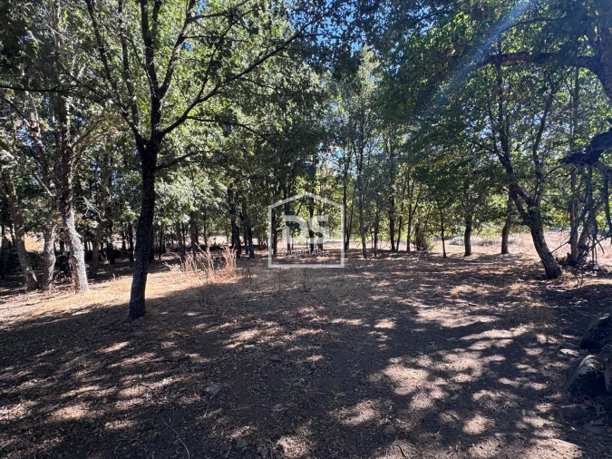 Terreno Agricola ou Rústico para Venda em Quintas de São Bartolomeu Foto 2