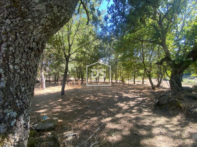 Terreno Agricola ou Rústico para Venda em Quintas de São Bartolomeu Foto 6