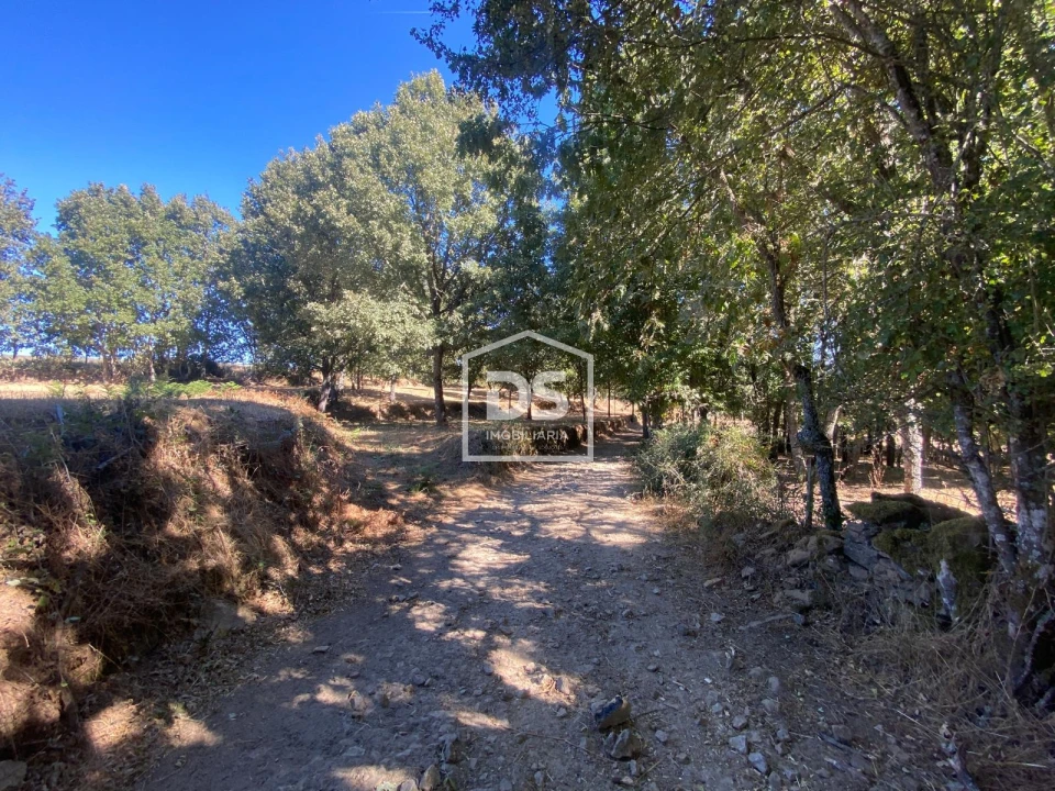 Terreno Agricola ou Rústico para Venda em Quintas de São Bartolomeu Foto 5