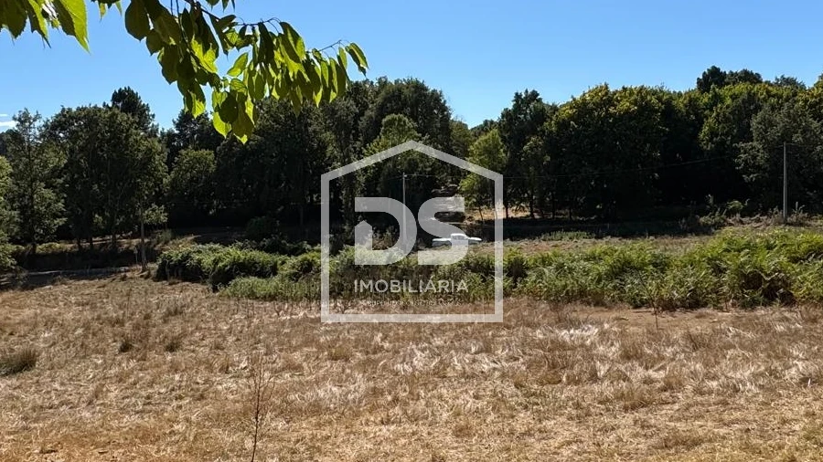 Terreno Agricola ou Rústico para Venda em Quintas de São Bartolomeu