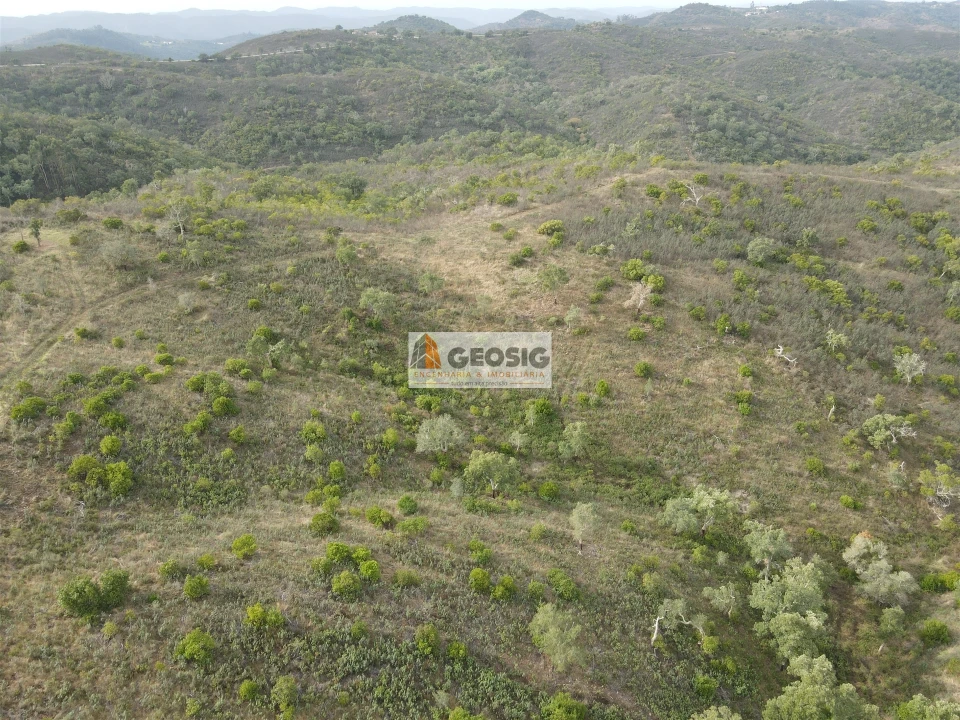 Terreno Agricola ou Rústico para Venda em São Barnabe Foto 5