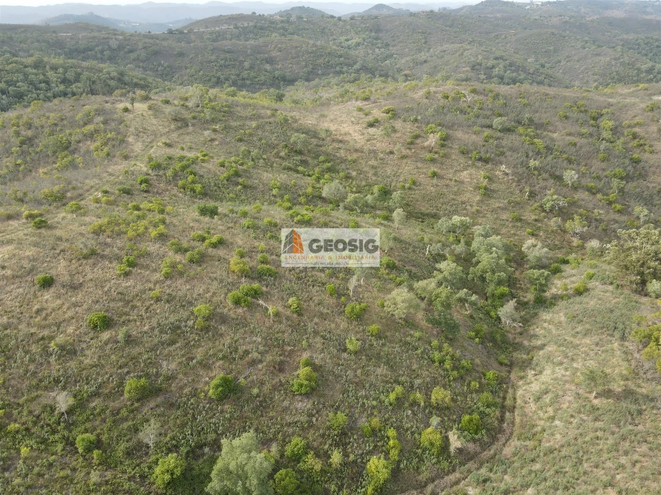 Terreno Agricola ou Rústico para Venda em São Barnabe Foto 4