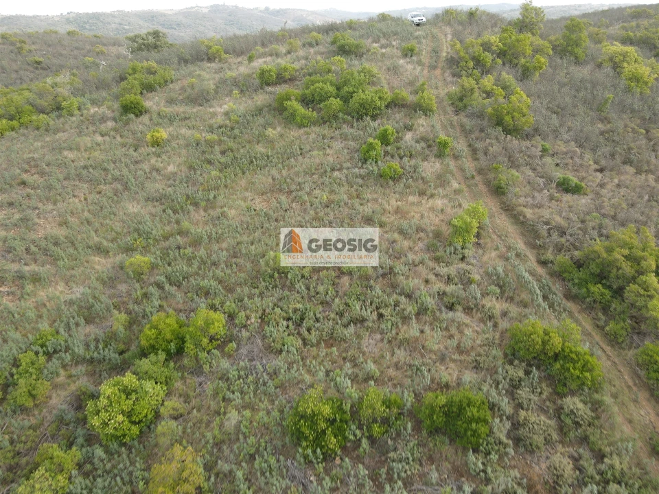Terreno Agricola ou Rústico para Venda em São Barnabe Foto 16