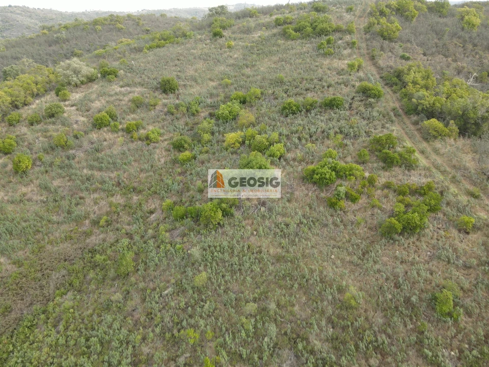 Terreno Agricola ou Rústico para Venda em São Barnabe Foto 15