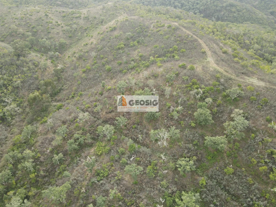 Terreno Agricola ou Rústico para Venda em São Barnabe Foto 9