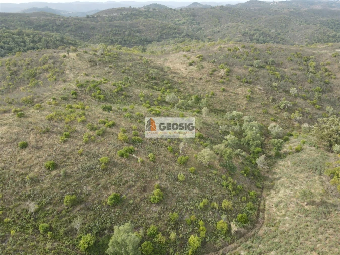 Terreno Agricola ou Rústico para Venda em São Barnabe Foto 4