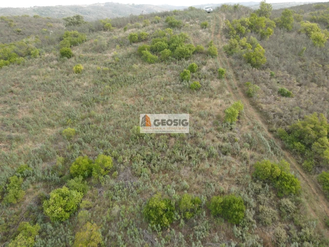 Terreno Agricola ou Rústico para Venda em São Barnabe Foto 16