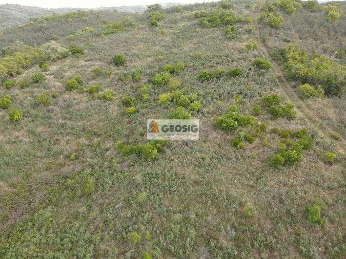 Terreno Agricola ou Rústico para Venda em São Barnabe Foto 15