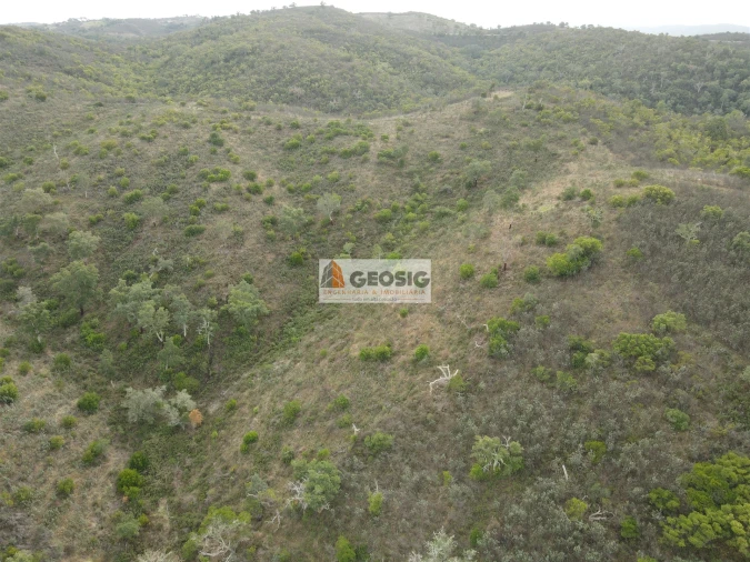 Terreno Agricola ou Rústico para Venda em São Barnabe Foto 12