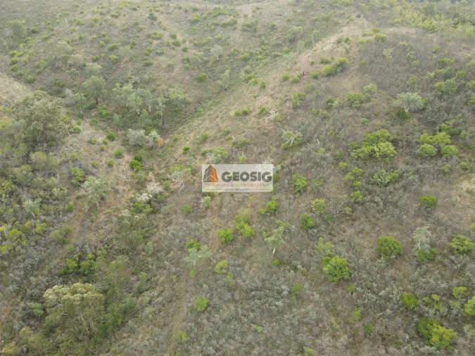 Terreno Agricola ou Rústico para Venda em São Barnabe Foto 11