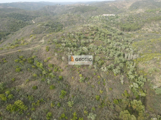 Terreno Agricola ou Rústico para Venda em São Barnabe Foto 6