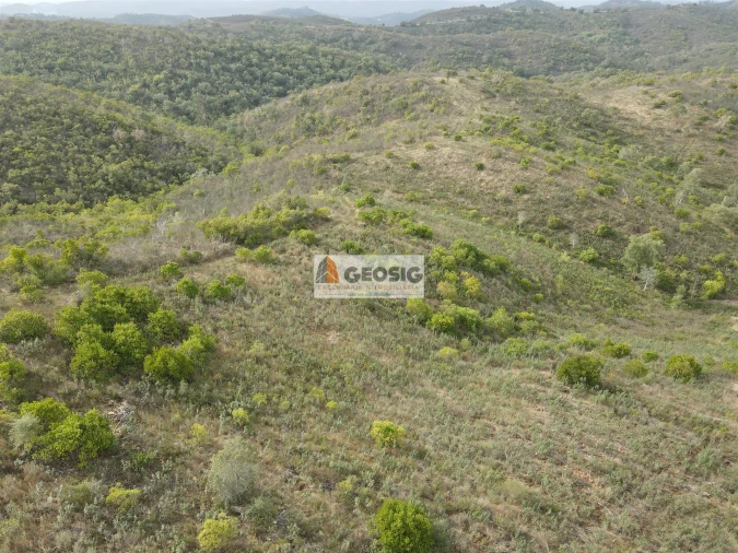 Terreno Agricola ou Rústico para Venda em São Barnabe Foto 2