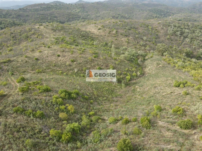 Terreno Agricola ou Rústico para Venda em São Barnabe Foto 3