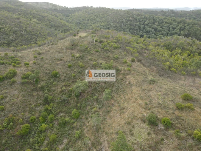 Terreno Agricola ou Rústico para Venda em São Barnabe Foto 13