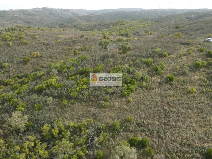 Terreno Agricola ou Rústico para Venda em São Barnabe Foto 1