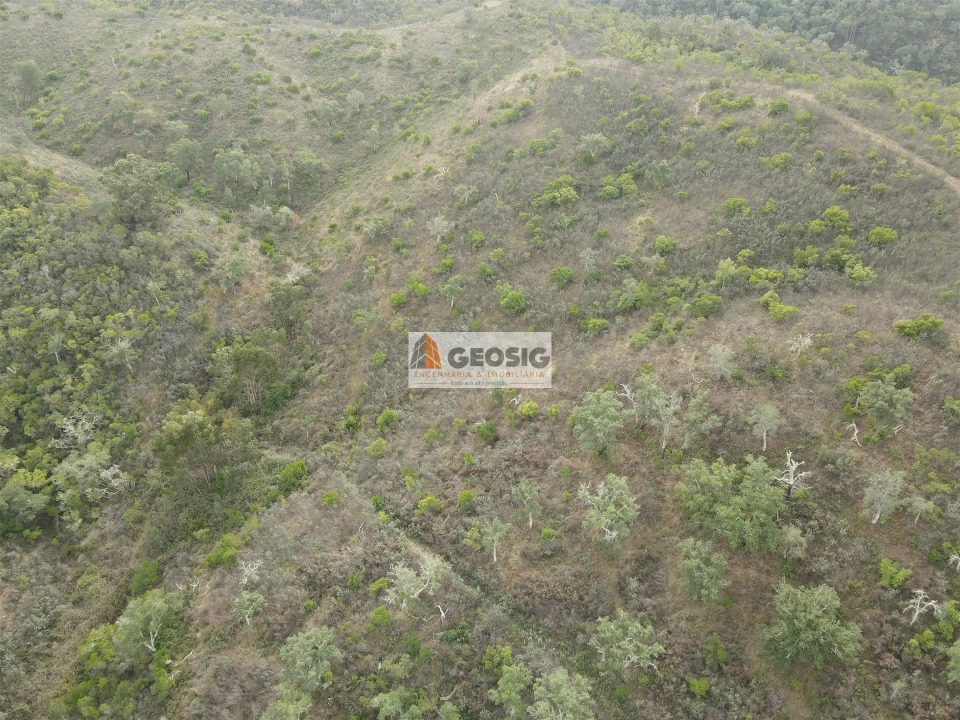 Terreno Agricola ou Rústico para Venda em São Barnabe Foto 10