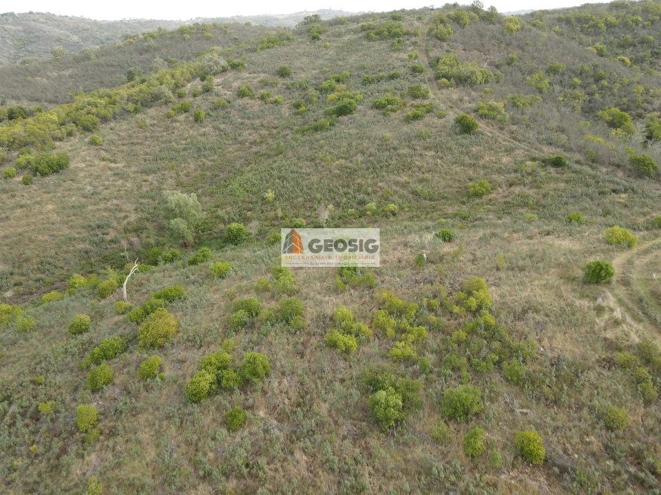 Terreno Agricola ou Rústico para Venda em São Barnabe Foto 14