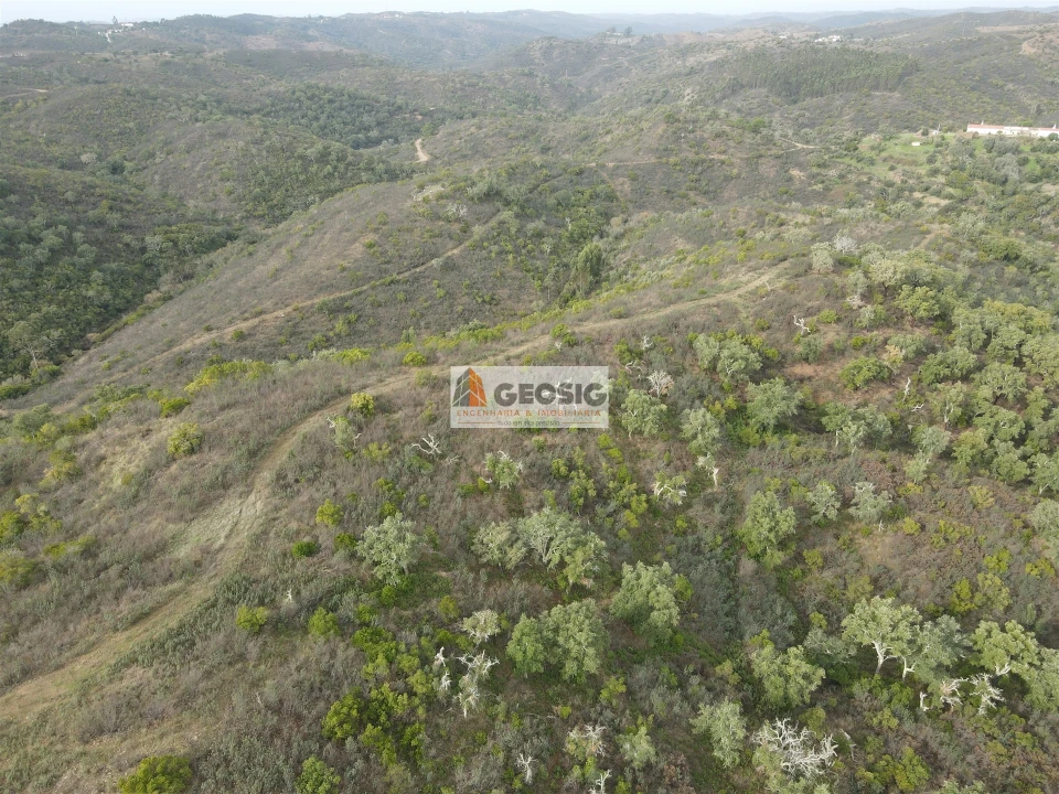 Terreno Agricola ou Rústico para Venda em São Barnabe Foto 7