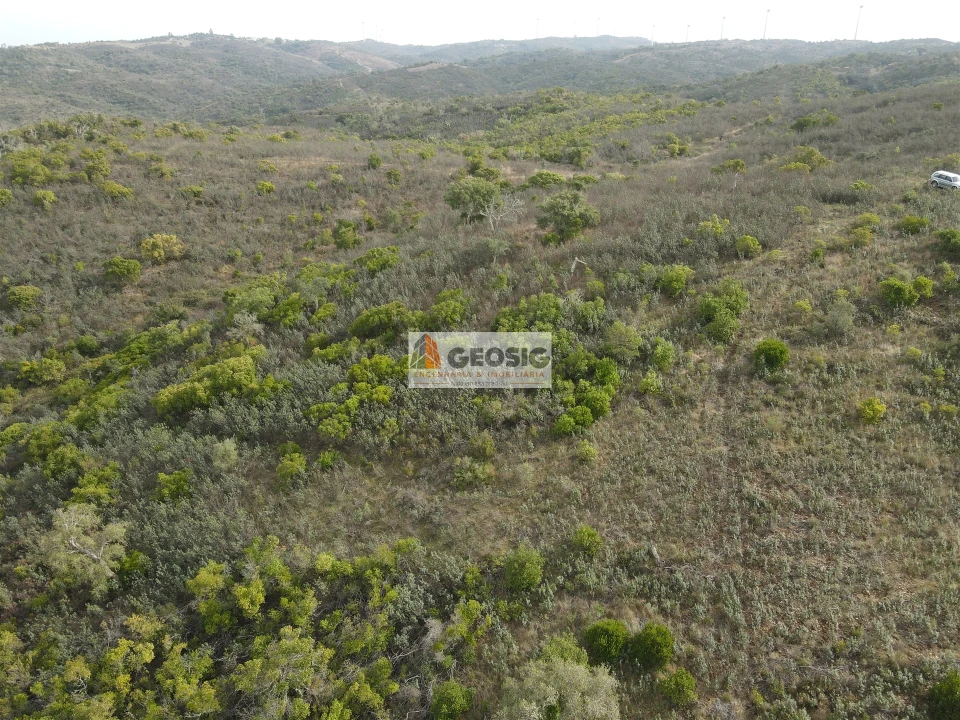 Terreno Agricola ou Rústico para Venda em São Barnabe Foto 1