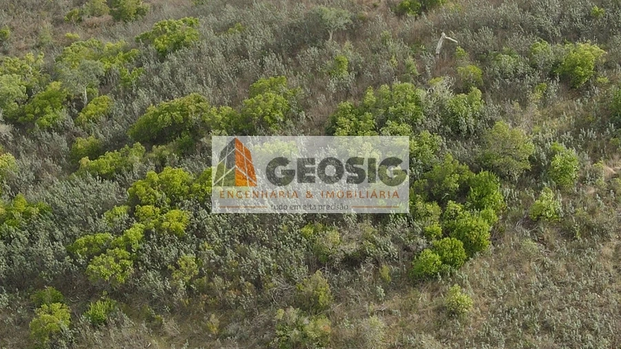 Terreno Agricola ou Rústico para Venda em São Barnabe