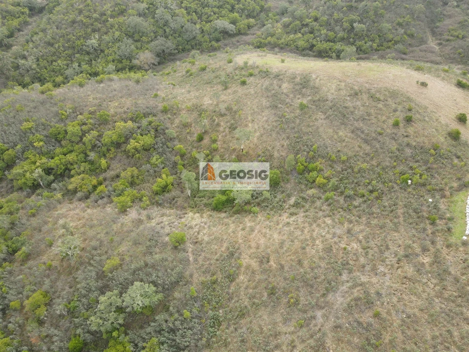 Terreno Agricola ou Rústico para Venda em São Barnabe Foto 4
