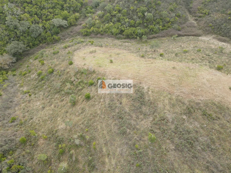 Terreno Agricola ou Rústico para Venda em São Barnabe Foto 7