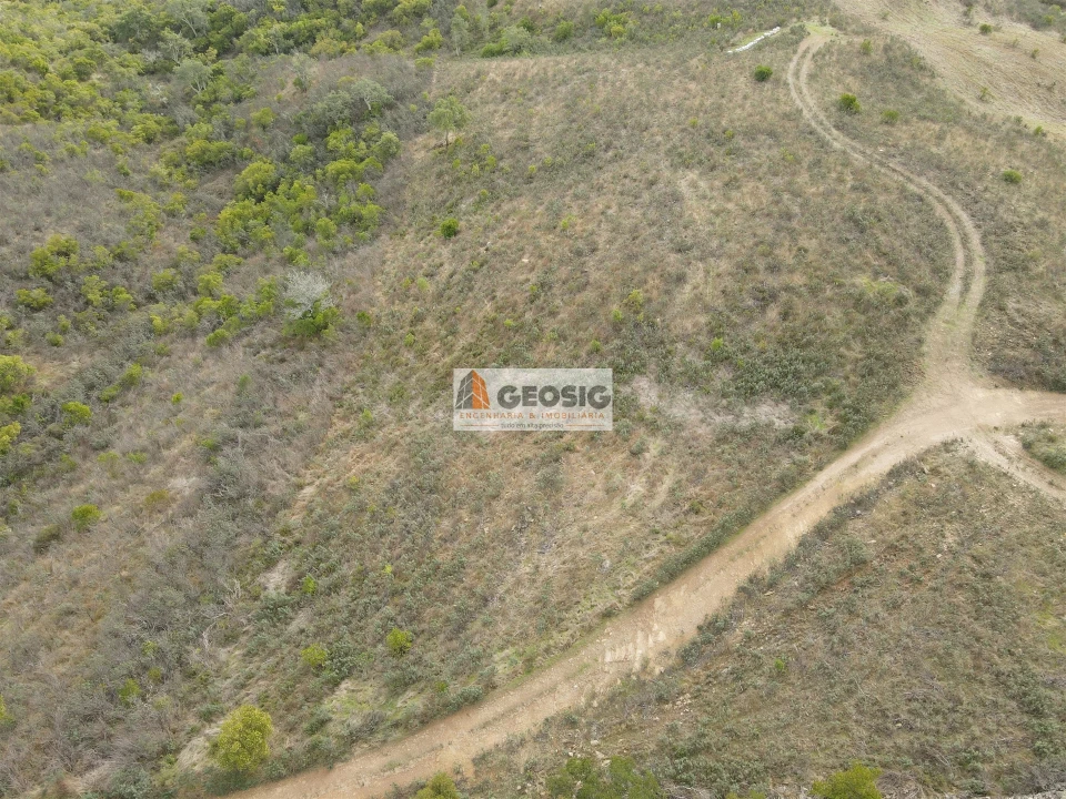 Terreno Agricola ou Rústico para Venda em São Barnabe Foto 3