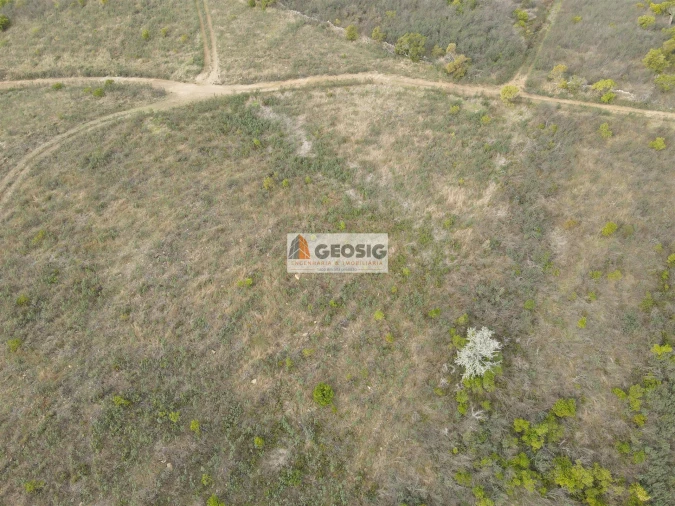 Terreno Agricola ou Rústico para Venda em São Barnabe Foto 6