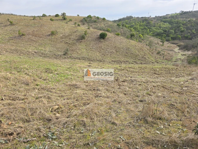 Terreno Agricola ou Rústico para Venda em São Barnabe Foto 10