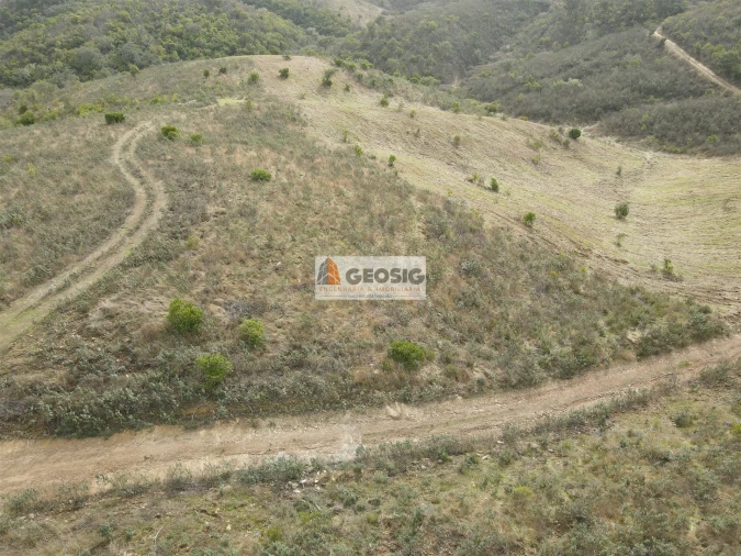 Terreno Agricola ou Rústico para Venda em São Barnabe