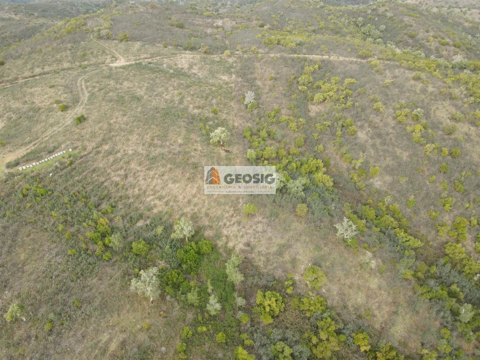 Terreno Agricola ou Rústico para Venda em São Barnabe Foto 8
