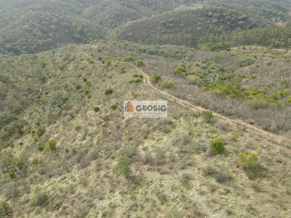 Terreno Agricola ou Rústico para Venda em São Barnabe Foto 1