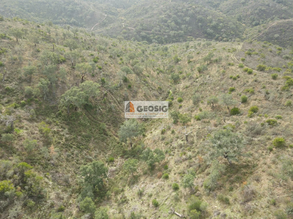 Terreno Agricola ou Rústico para Venda em São Barnabe Foto 4
