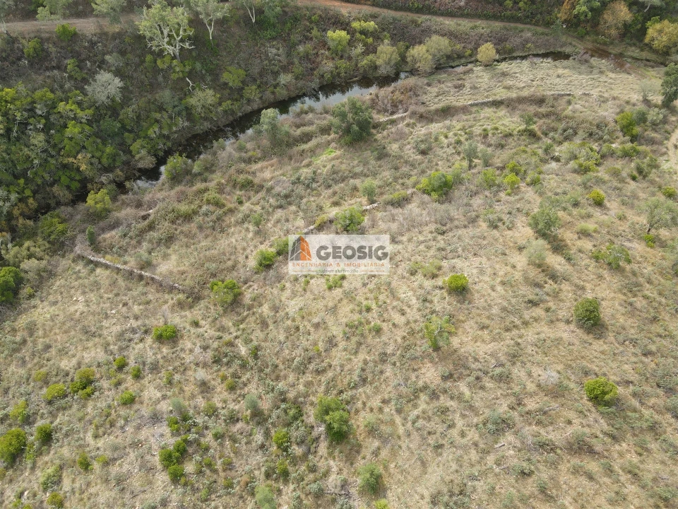 Terreno Agricola ou Rústico para Venda em São Barnabe Foto 12
