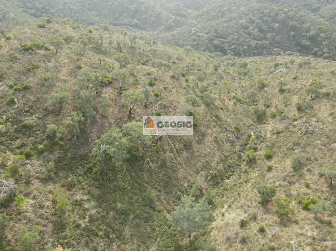 Terreno Agricola ou Rústico para Venda em São Barnabe Foto 5