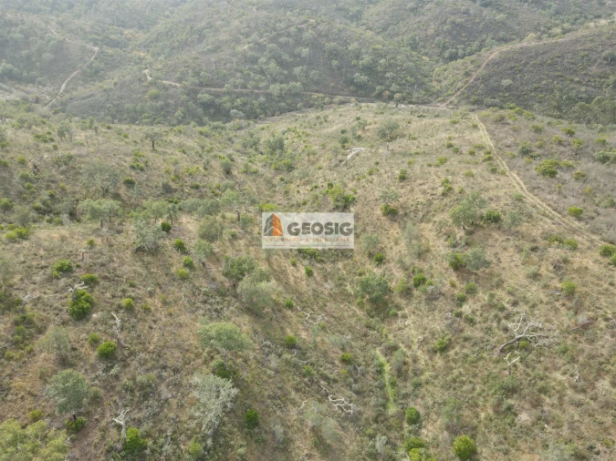 Terreno Agricola ou Rústico para Venda em São Barnabe Foto 6