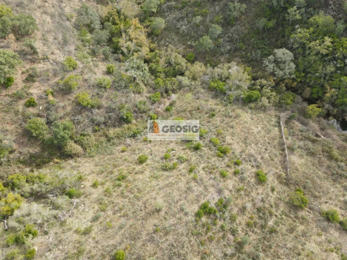 Terreno Agricola ou Rústico para Venda em São Barnabe Foto 13