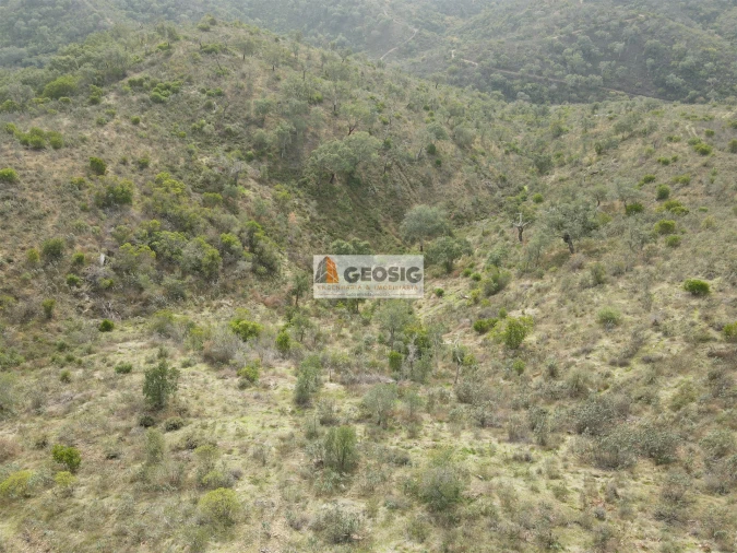 Terreno Agricola ou Rústico para Venda em São Barnabe Foto 3
