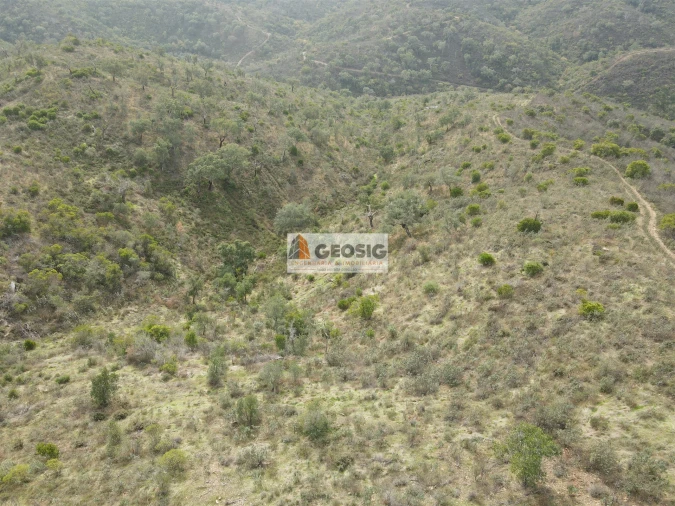 Terreno Agricola ou Rústico para Venda em São Barnabe Foto 2