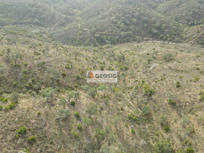Terreno Agricola ou Rústico para Venda em São Barnabe Foto 7
