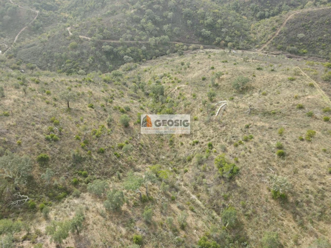 Terreno Agricola ou Rústico para Venda em São Barnabe Foto 8