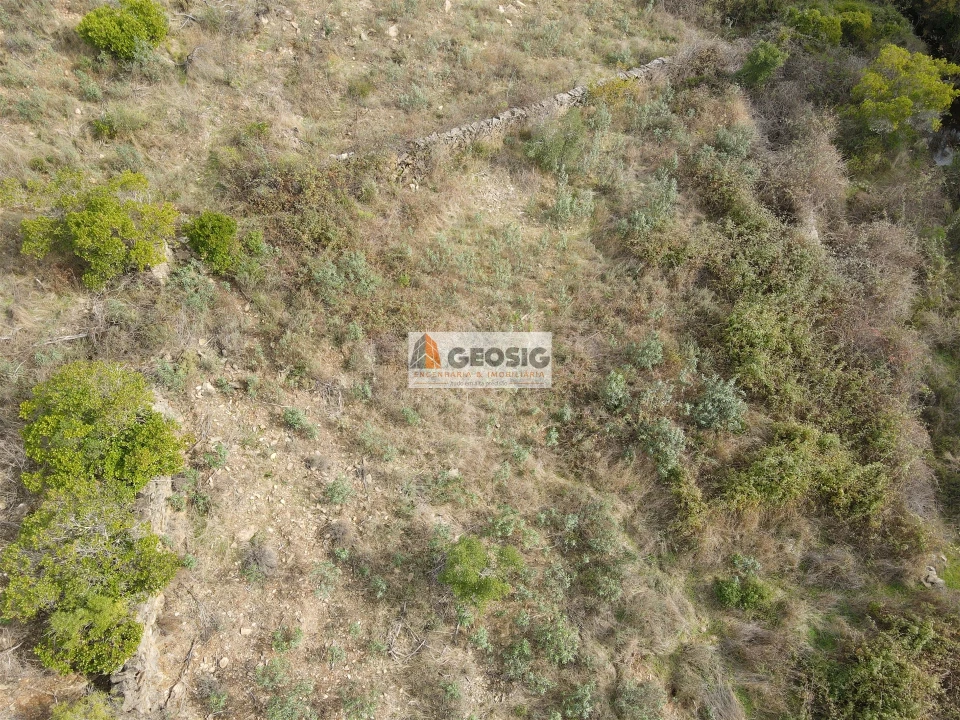 Terreno Agricola ou Rústico para Venda em São Barnabe Foto 15