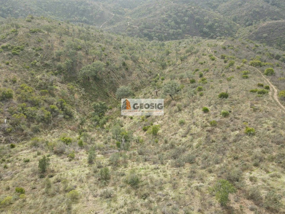 Terreno Agricola ou Rústico para Venda em São Barnabe Foto 2